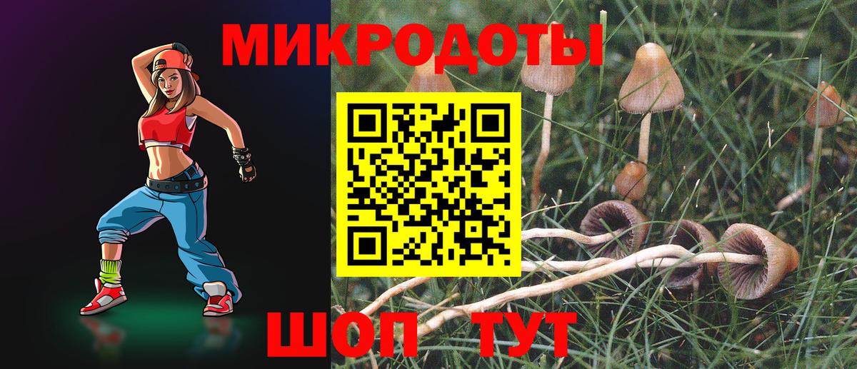 купить наркоту  Галлюциногенные грибы Cubensis  Новоалександровск  Вход с VPN  Псилоцибиновые грибы Psilocybe 
