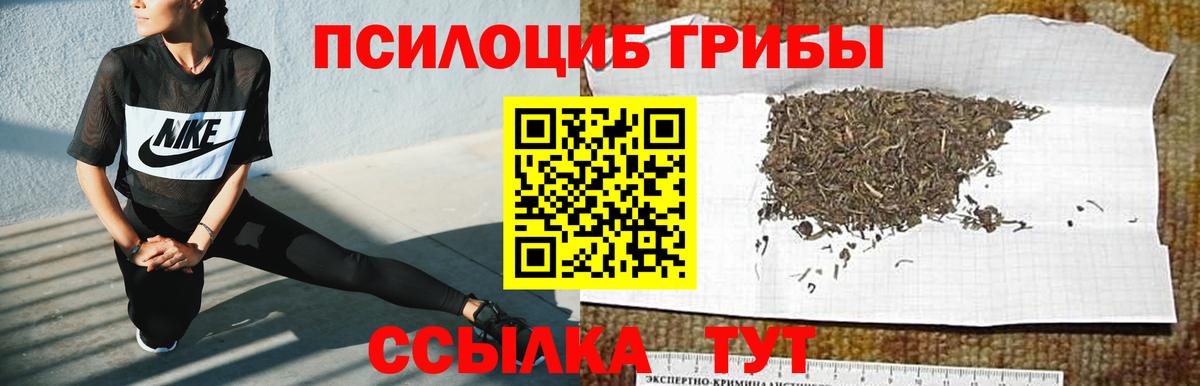 Псилоцибиновые грибы Magic Shrooms Новоалександровск
